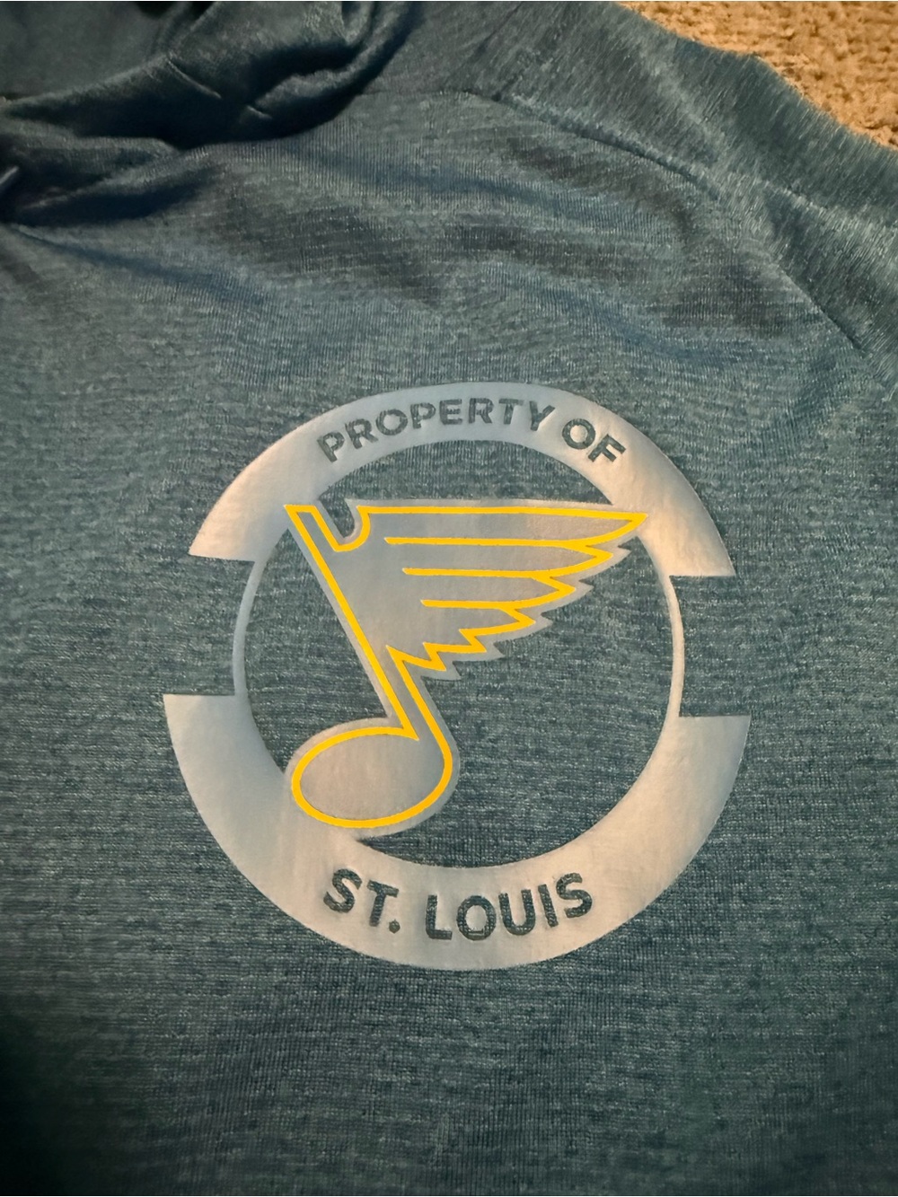 St. Louis Blues Team Issue Hoodie